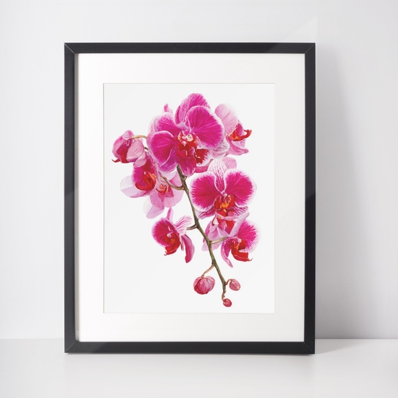 Watercolor Pink Orchids Wall Art Print Unframed - Elegant Floral Serenity - Picture 3 of 6